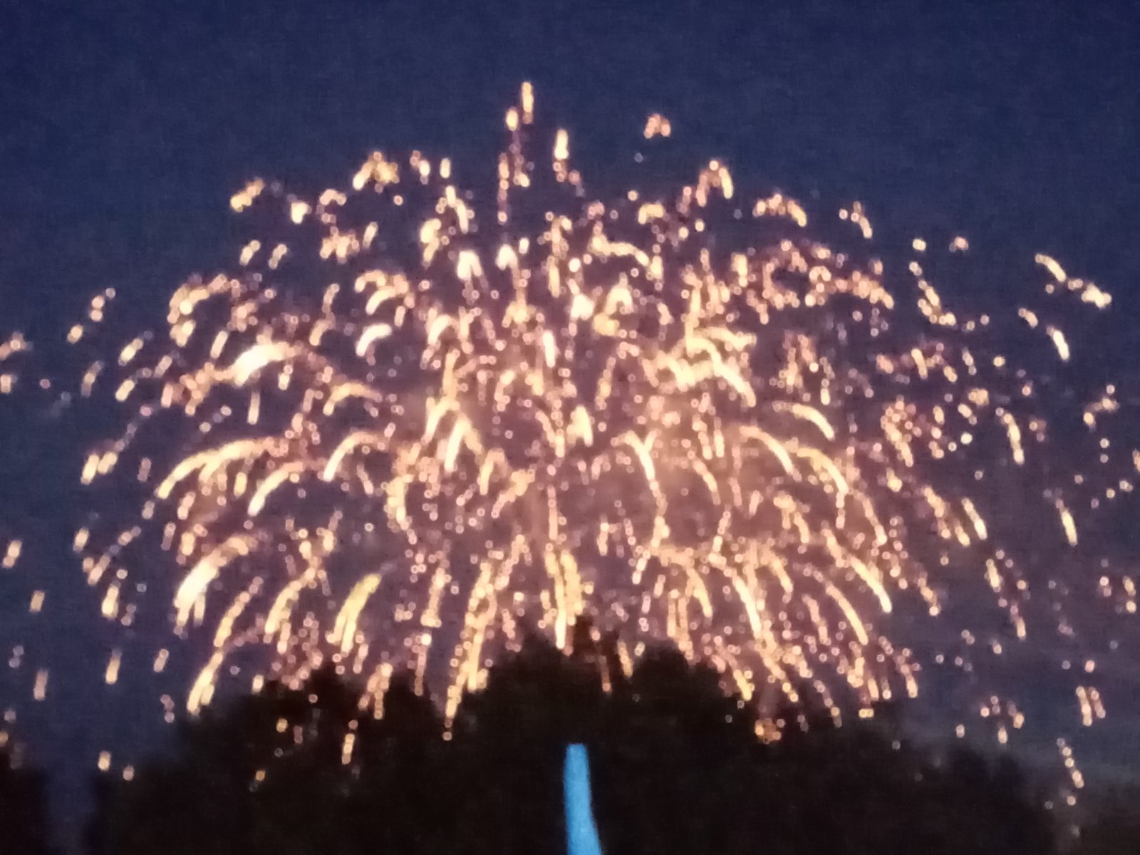 IMG-57f1e20a0bab385f34ac4a2c71f286f4-V