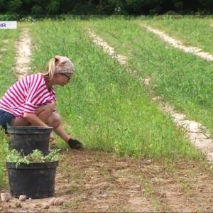 IMG_20210714_210440_954